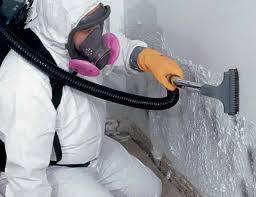 Professional Mold Removal & Remediation in Harvard, IL